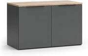 Credenza Wido, Antracite, 80 x 50 cm con 2 porte, adatto per riporre abiti e oggetti per la casa