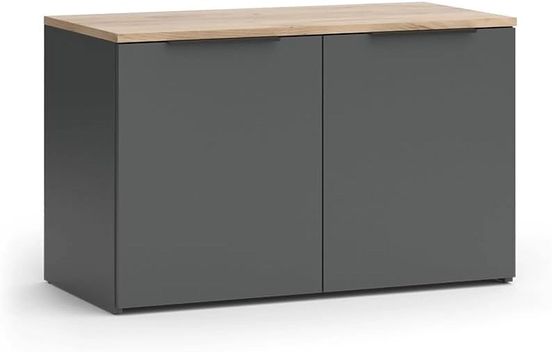 Credenza Wido, Antracite, 80 x 50 cm con 2 porte, adatto per riporre abiti e oggetti per la casa