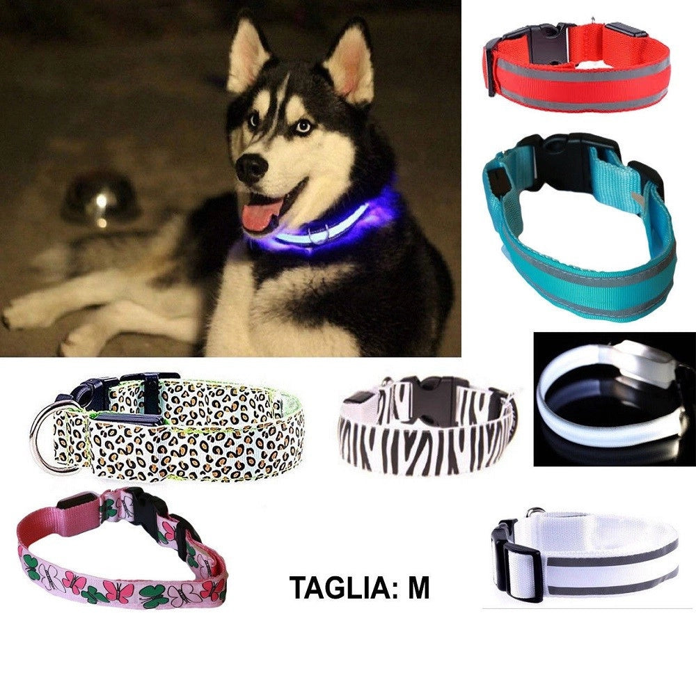 Trade Shop - Collare Per Cane Cani A Led Luminoso Sicurezza Led Notturno Clip Fantasia Tg.m -