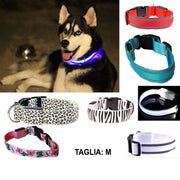 Trade Shop - Collare Per Cane Cani A Led Luminoso Sicurezza Led Notturno Clip Fantasia Tg.m -