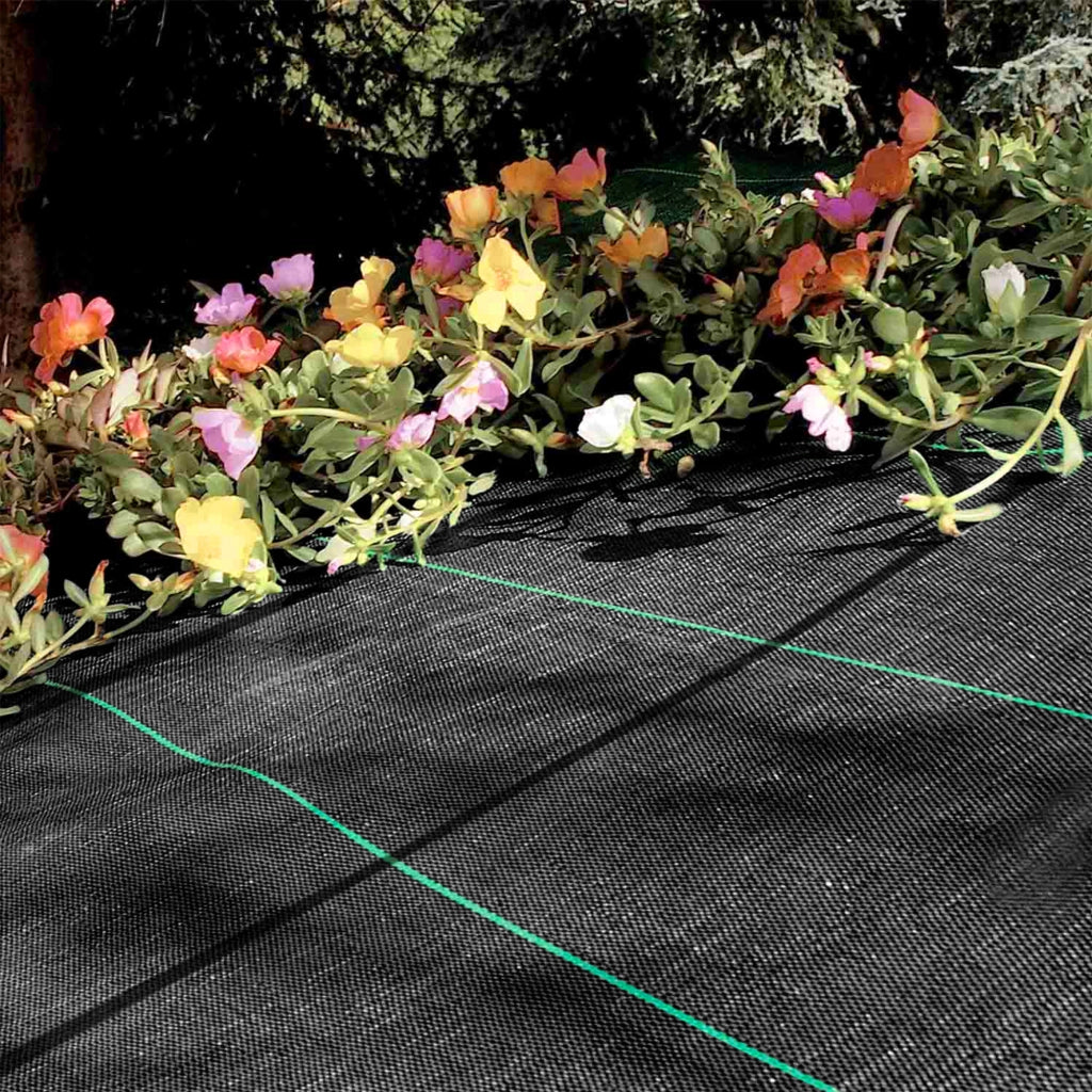 Telo Pacciamatura  Antistrappo Uv Resistente Permeabile Drenante Orto Giardino Serra Polipropilene Contro Le Erbacce Copertura Pacciamante Super Resistente Stop Erbe Infestanti 1.57x10Mt