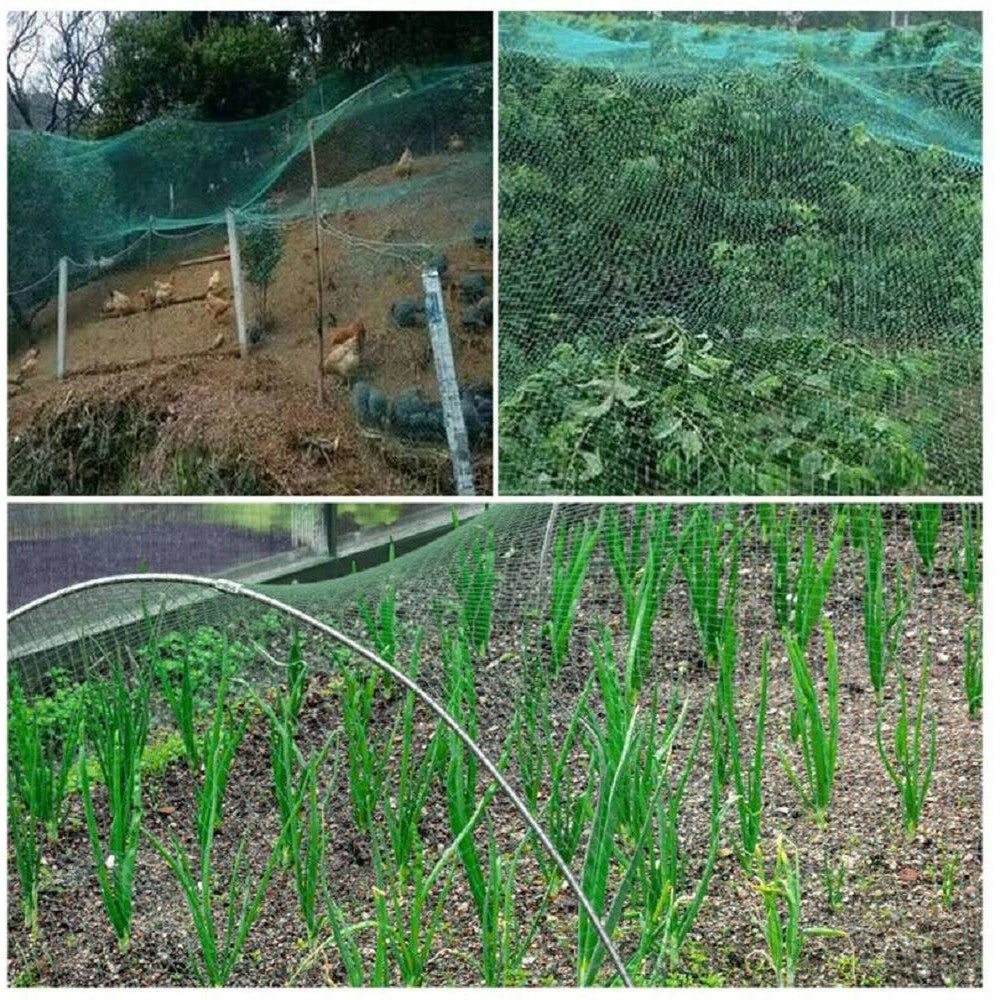 Trade Shop - Rete Anti Uccelli Verde In Polietilene Protezione Giardino Orto Piante 2 X 10 Mt -