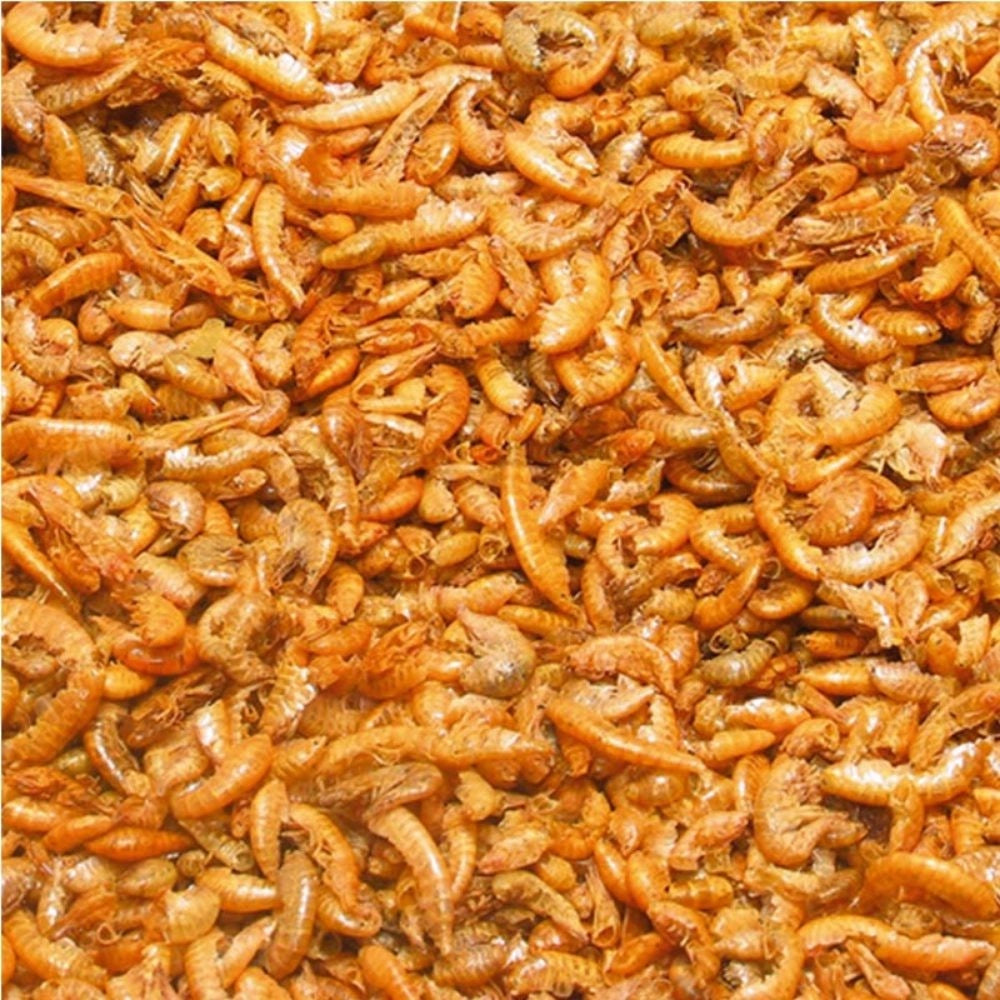 JBL Gammarus 250ml/25gr - Mangime per Tartarughe Acquatiche