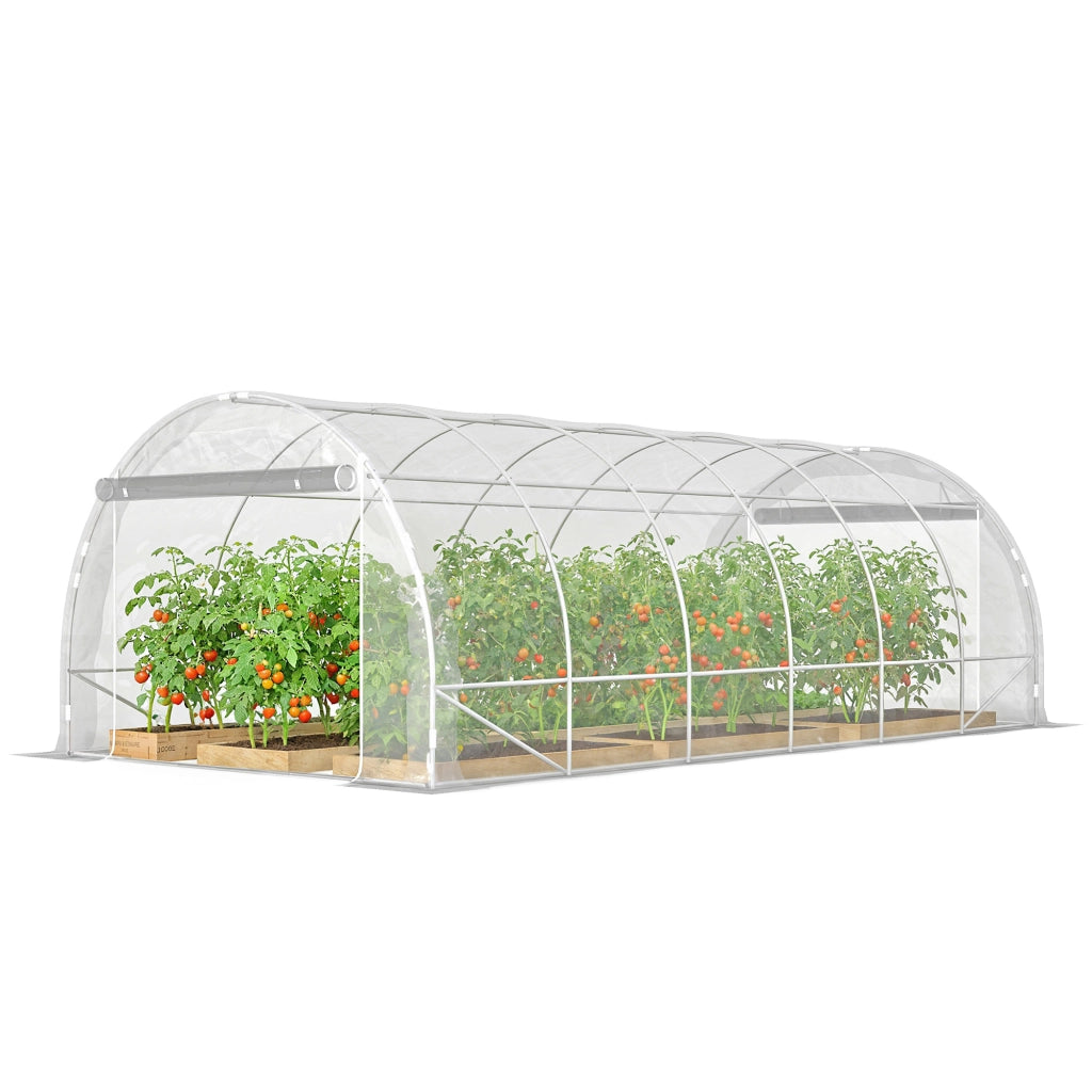 Serra a Tunnel 3x6x2 m con Porte Avvolgibili, Telaio in Acciaio e Copertura in PE Anti-UV, Trasparente