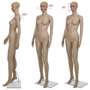 Busto manichino donna da finestra 5 pezzi 2002018