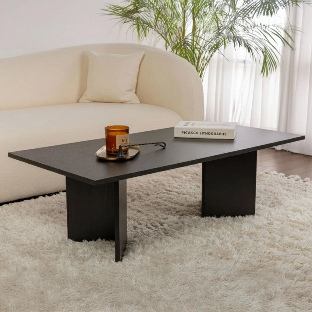 Turate, Tavolino da Salotto Forma Rettangolare, 119x60x40h cm Nero