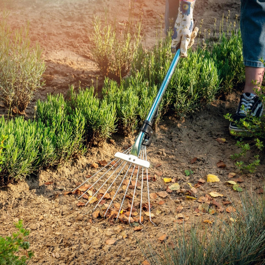 Rastrello in metallo KADAX per foglie ed erba, piccolo rastrello da giardino da 65 cm con 9 denti regolabili