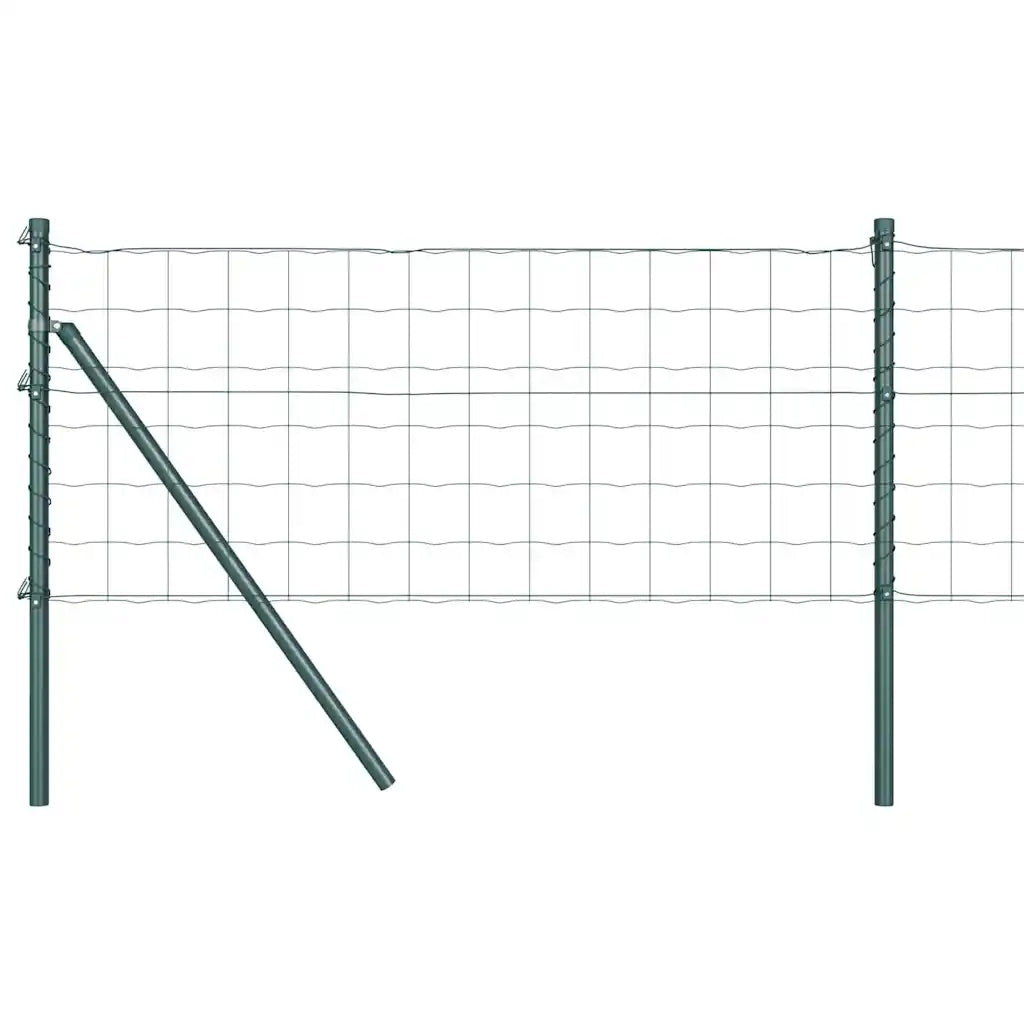 Recinzione con Posto Verde 0,8 x 25 m Acciaio 3350333