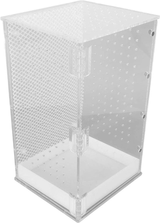 Terrario Acrilico con Porta Magnetica e Fessura di Aria per Aragoste (M)