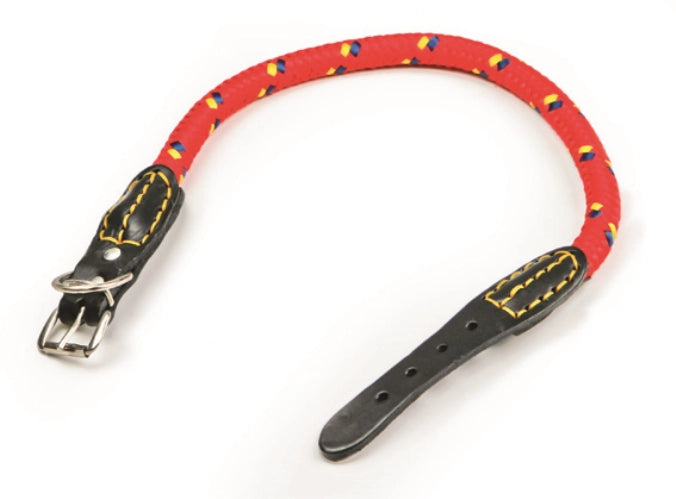 Utilia pet collare in nylon corda col.assortiti cm. 50x1,2 (6 pezzi) - Utilia Pet
