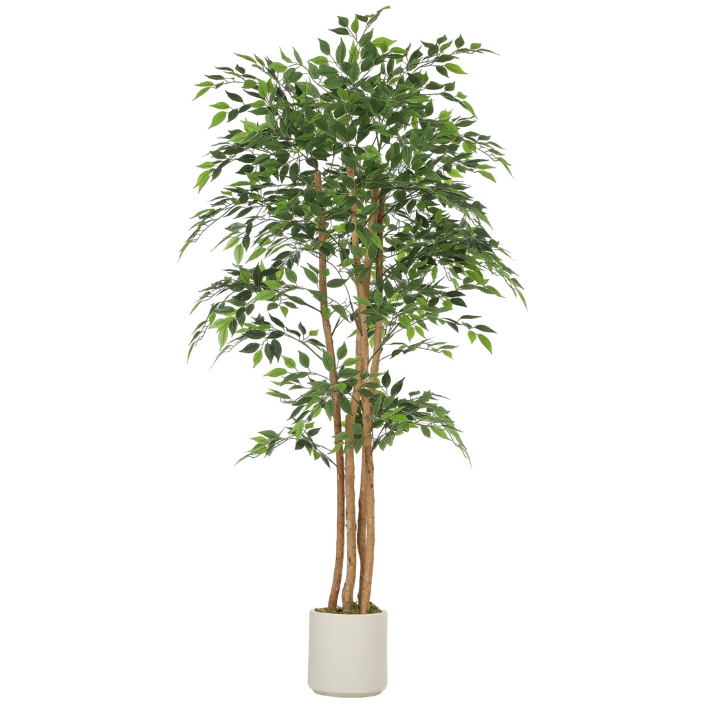 Pianta artificiale Banyan con tronco in legno massello ¨C Minimal ¨C 75x75x180 cm Verde