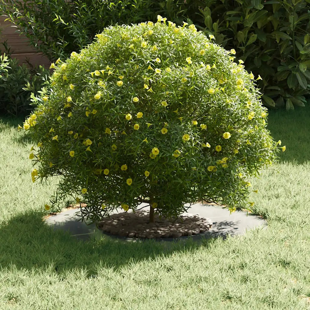 adatto per Anello d'Albero Piatto Argento Ø30 / 60 cm 873672