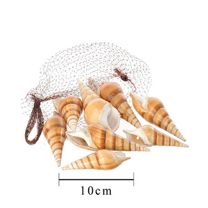 Set 6 Conchiglie Red Eluthani Peso 500 gr