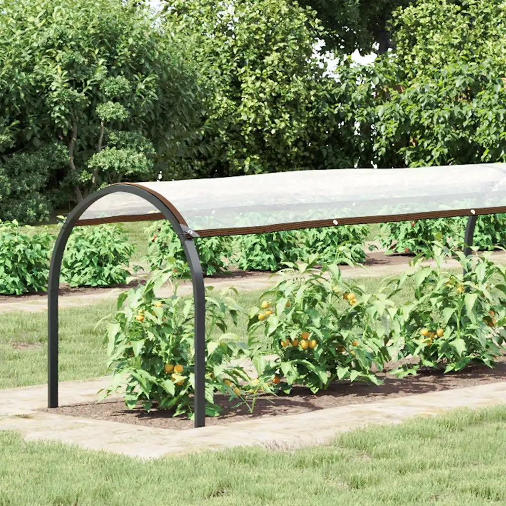 Copertura per Piante con Occhielli 1x10 m in Polietilene