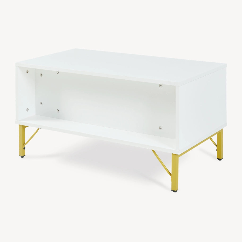 Tavolino Centrale da Salotto Reyri Tavolo Basso con Scomparti e Anta 80x45x42 cm Bianco / color Oro [en.casa]