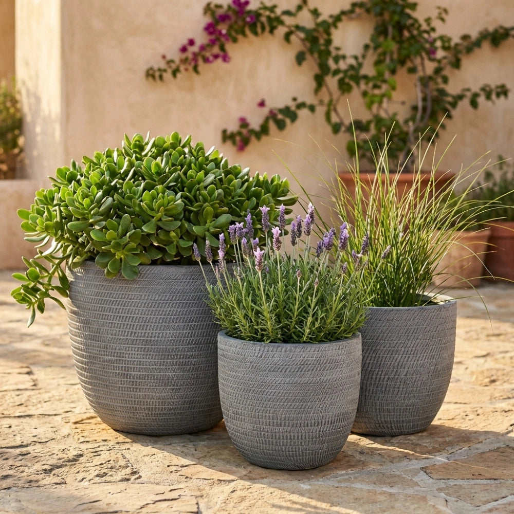 SET DI 3 VASI CALLA 2
