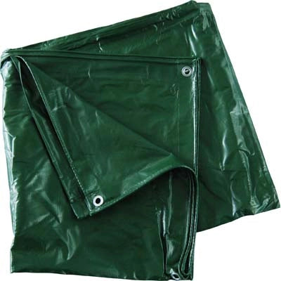 TELONE OCCHIELLATO PVC PESANTE VERDE EFFE  GR/MQ 540 MT 4X5