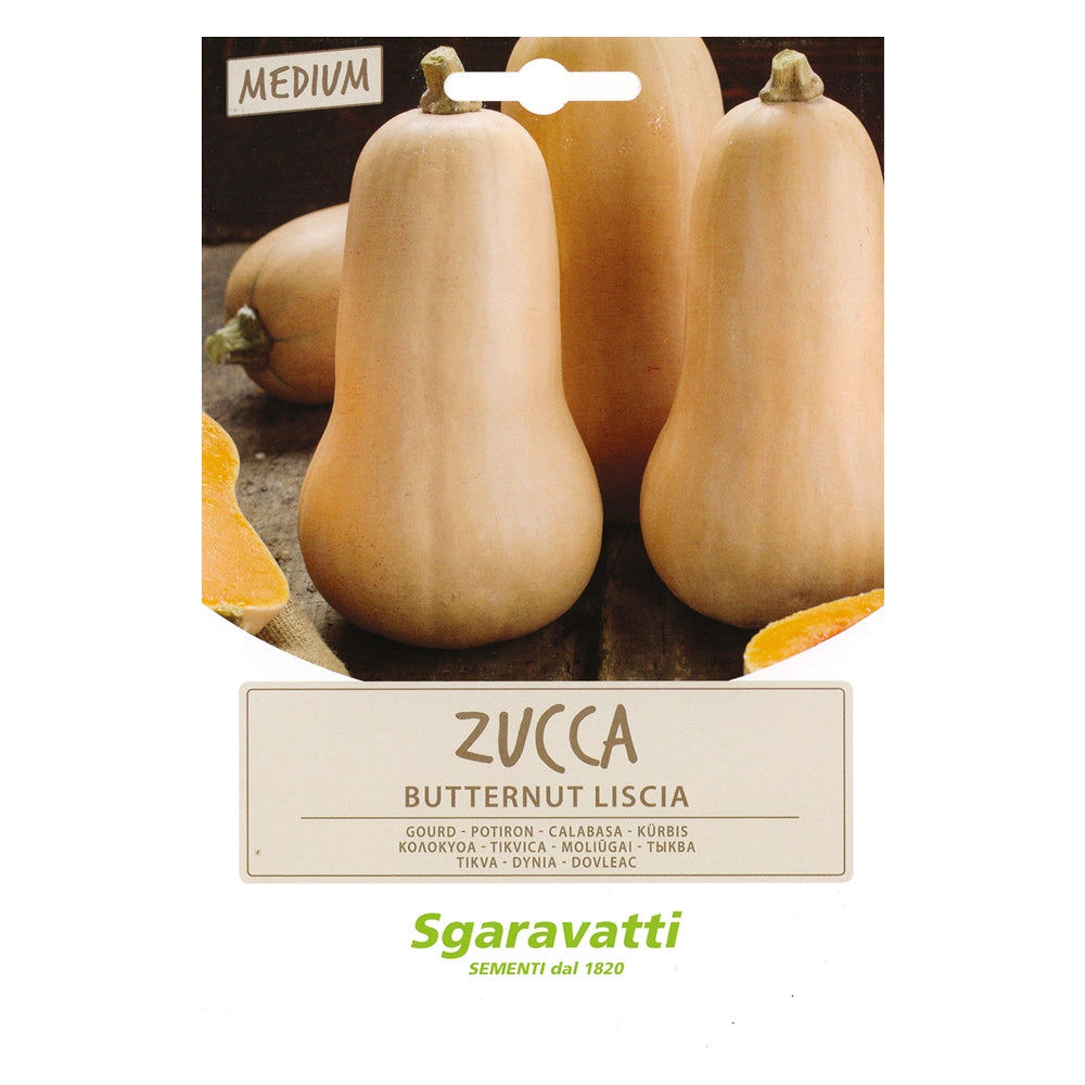 SEMI PER ORTAGGI E VEGETALI zucca butternut liscia- 10 pezzi  - SGARAVATTI