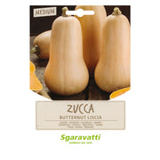 SEMI PER ORTAGGI E VEGETALI zucca butternut liscia- 10 pezzi  - SGARAVATTI