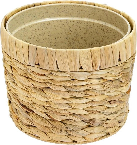 Vaso di Fiori Innovativo con Pianta in Materiale Sostenibile, Diametro 19 cm - HMF