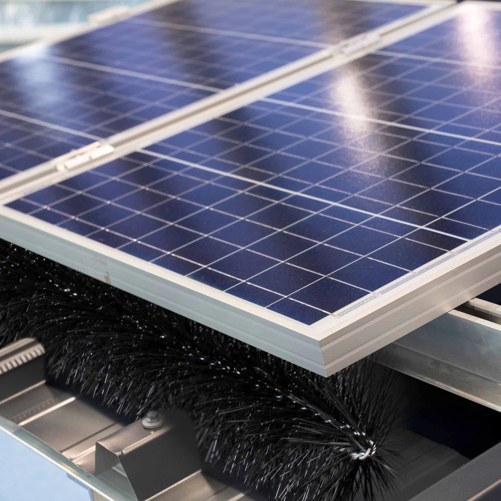 Spazzola per grondaie e Barriera anti piccioni 20 scovoli 24 m Ø 8cm per pannelli fotovoltaici