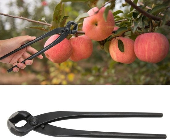 ONF3 - Strumento per bonsai - Apparecchiatura professionale - Attrezzatura di alta qualità per giardinieri - 290 mm - Taglio preciso - Adatto per bonsai amatori -