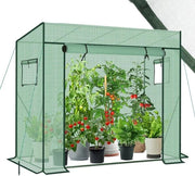 Serra per Piante XL in Folioplastica Stabile per Giardino Invernale Resistente 200 x 170/150 x 80 cm (Verde)