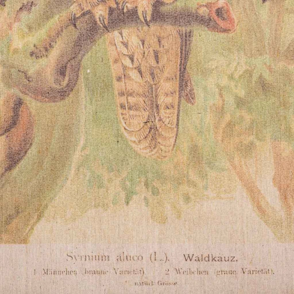 Tela in tessuto pergamena stampata 65x95x2,5h