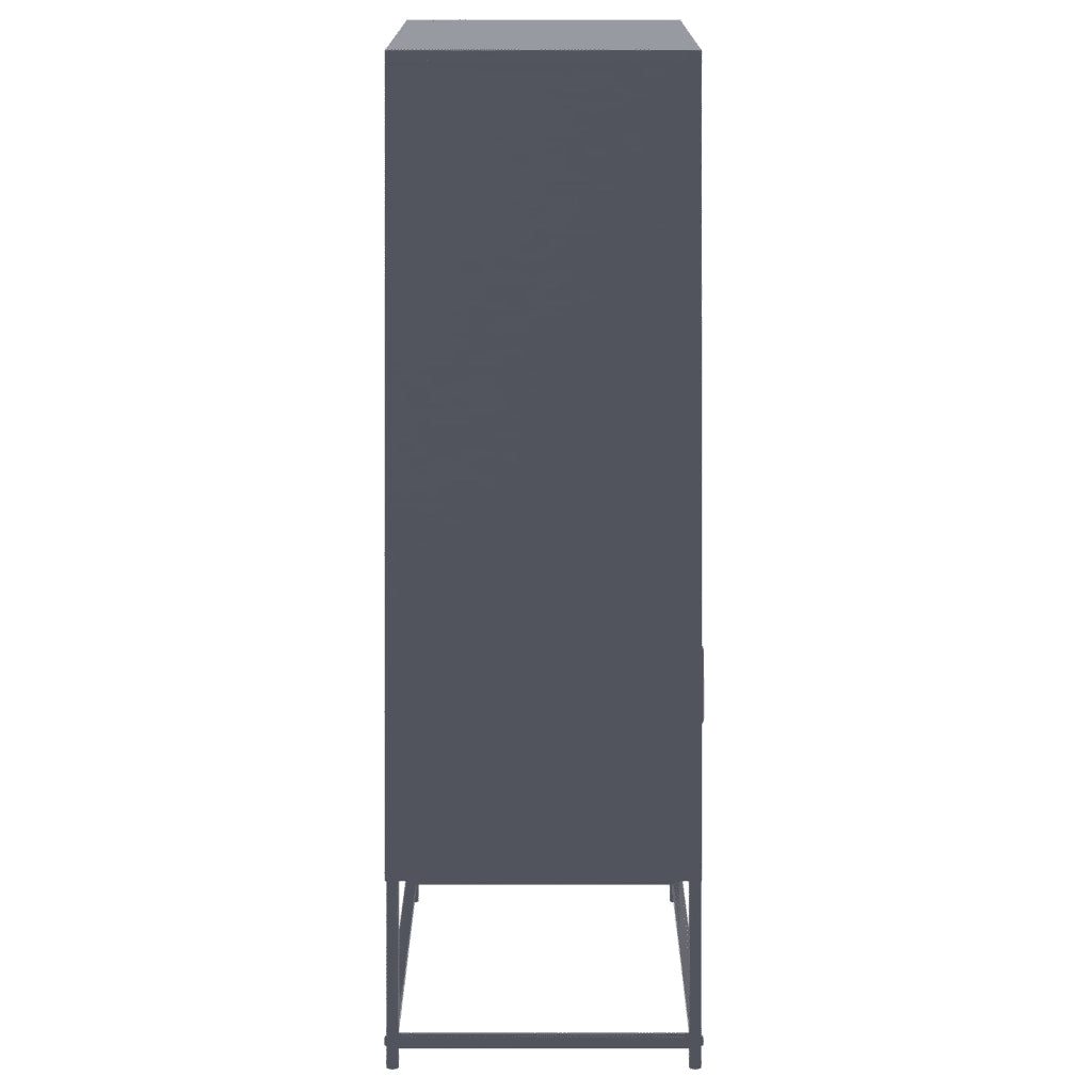 Credenza | Madia | Buffet da pranzo | Armadio da pranzo Antracite 68,5x38,5x123,5 cm in Acciaio
