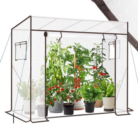 Serra per Giardino con Entrata a Rullo per Pomodori e Vegetali - 200 x 77 x 146/170 cm