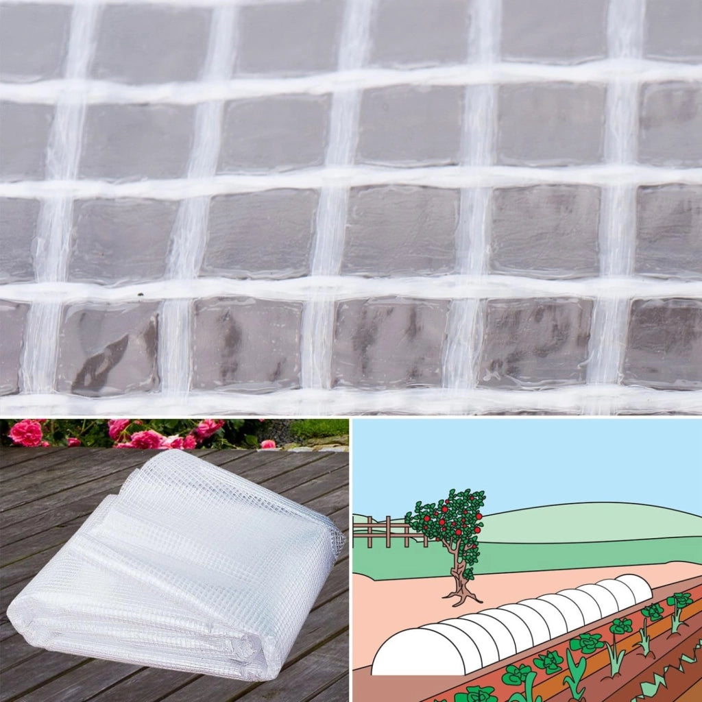 Telone rinforzato, colore: trasparente, 8 x 12 m