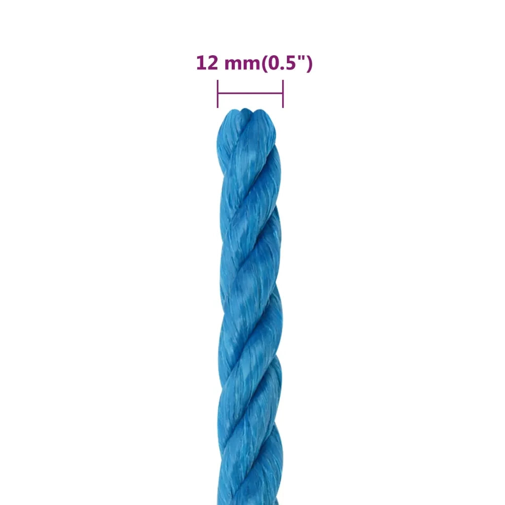Corda da Lavoro Blu 12 mm 25 m in Polipropilene 152977