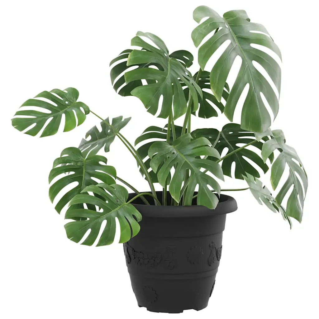 Vaso Rotondo per Fiori 24 pcs Nero Ø 22 x 18 cm Plastica 42020294