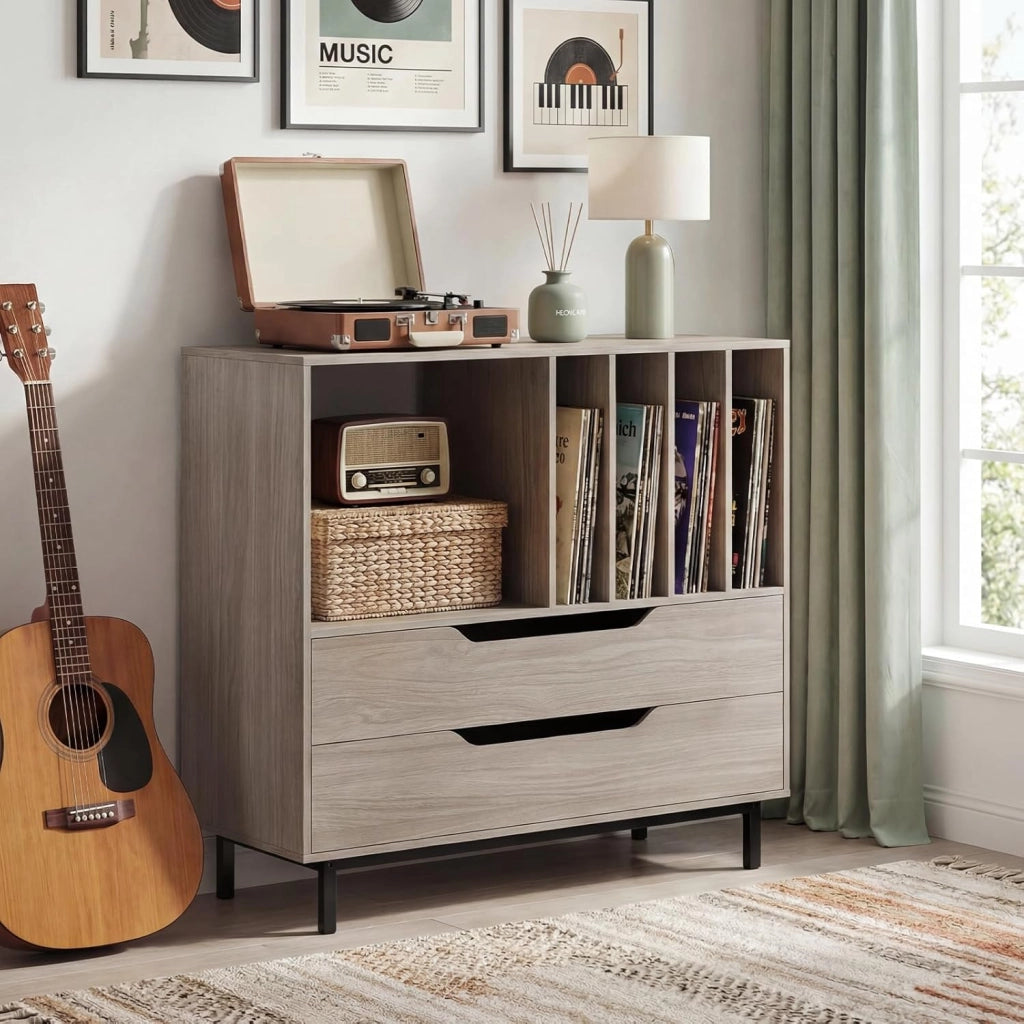 Supporto per Giradischi, Porta Dischi Vinile con 4 Ripiani per Vinili e 2 Cassetti, Armadio per Dischi Fino a 250 Album, per Soggiorno, Studio e Camera da Letto, 91 x 35 x 87 cm (Grigio)