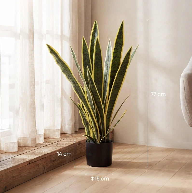 Pianta artificiale Sansevieria ?15x77 cm; aspetto realistico in polietilene verde