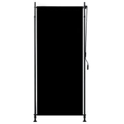 Tenda a Rullo per Esterni-Tenda da sole avvolgibile 100x270 cm Antracite