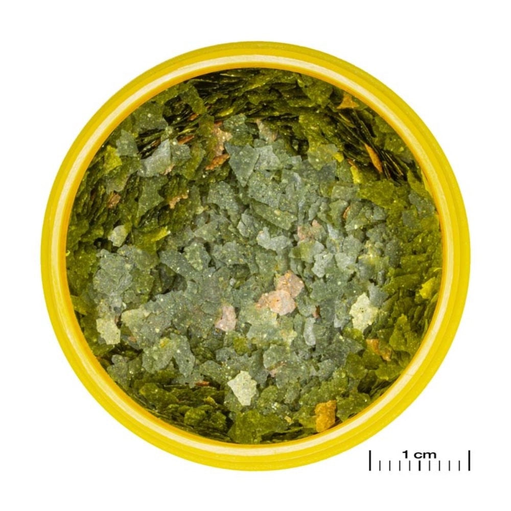 JBL ProNovo Guppy Flakes S - Mangime base in fiocchi per guppy e altri vivipari da 3 a 10cm Formato: 100 ml