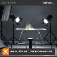 Sfondo fotografico in cartoncino grigio 2,60x10 m, Backdrop foto antiriflesso e resistente, per studi fotografici