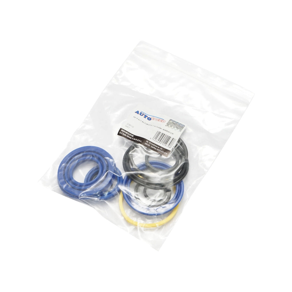 Kit di riparazione/set di guarnizioni per cilindri idraulici RA79 e AW87