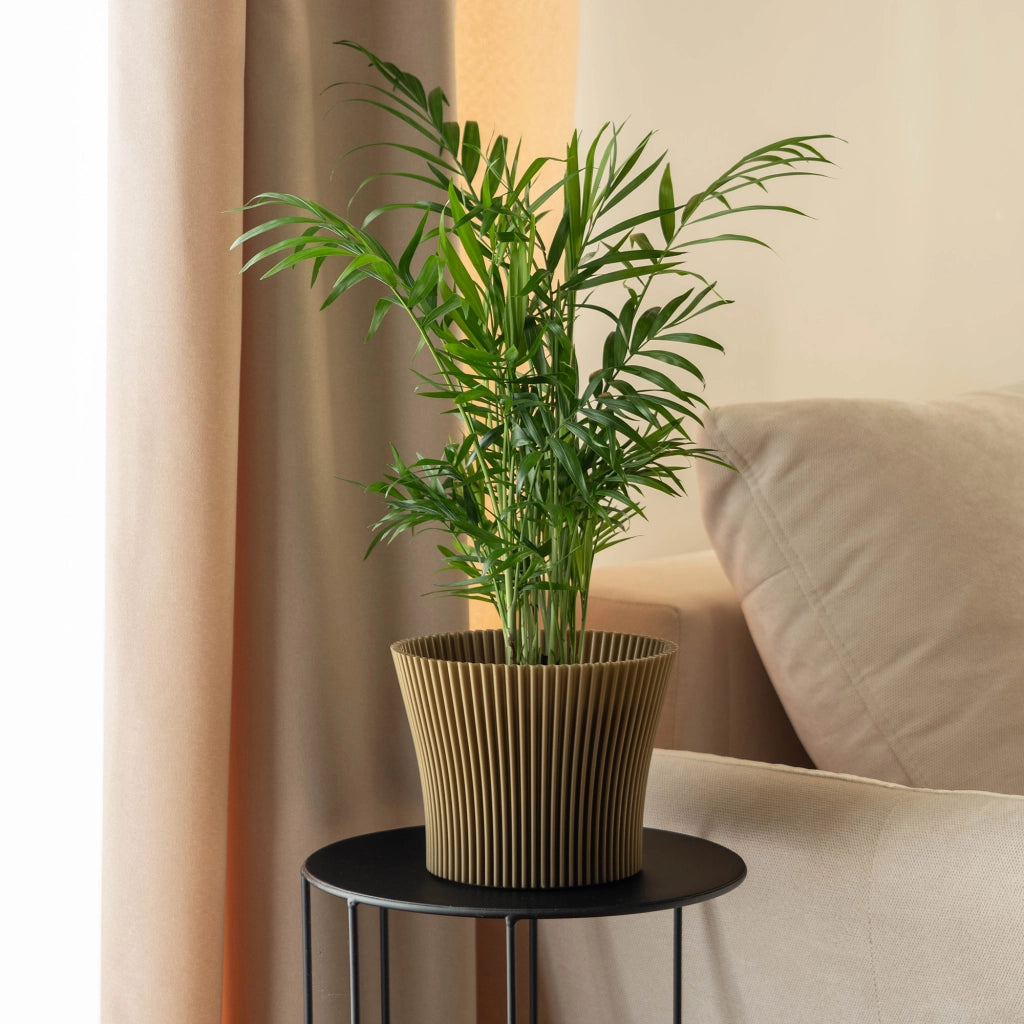 Vaso da fiori KADAX 13 cm, copripianta, vaso da fiori in plastica color oro