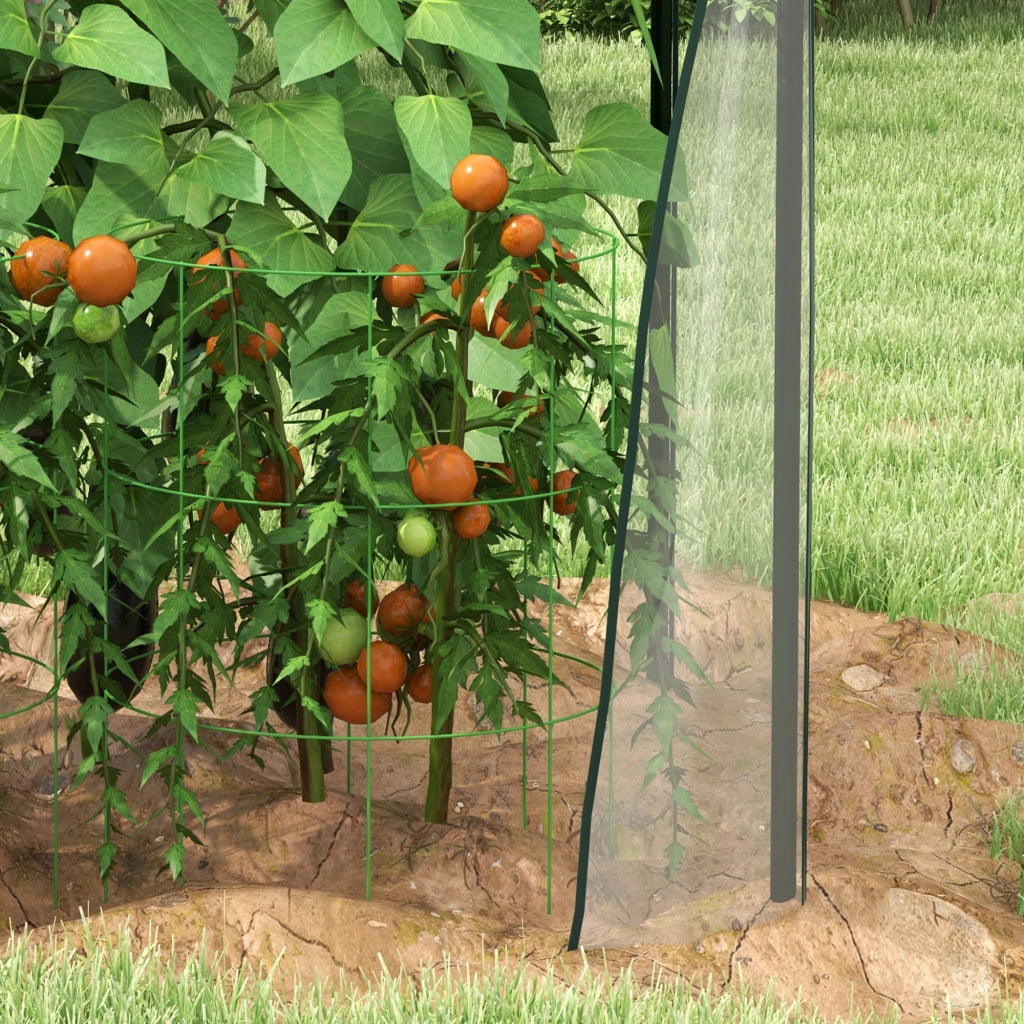 Serra compatta per piante rampicanti 90 x 90 x 145 cm, copertura trasparente in plastica, struttura in acciaio