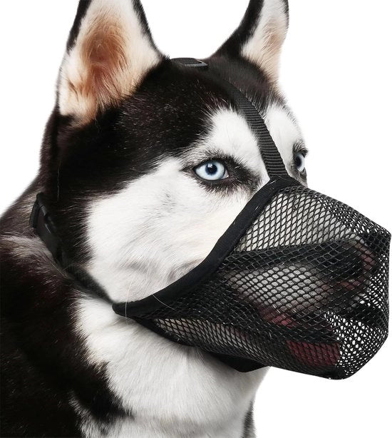 Muffa per cani in rete per grandi cani per prevenire morsi e morso (L) Set