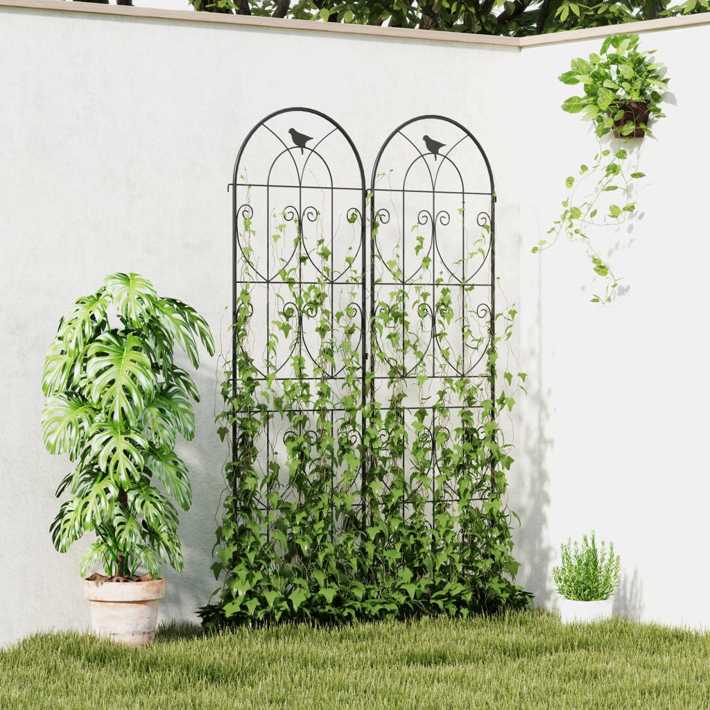 Graticcio per piante rampicanti con uccelli ¨C zephmum ¨C nero metallo 50x180 cm