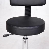 Sgabello con Schienale da Salone Sedia Girevole in Finta Pelle Altezza Regolabile Nero