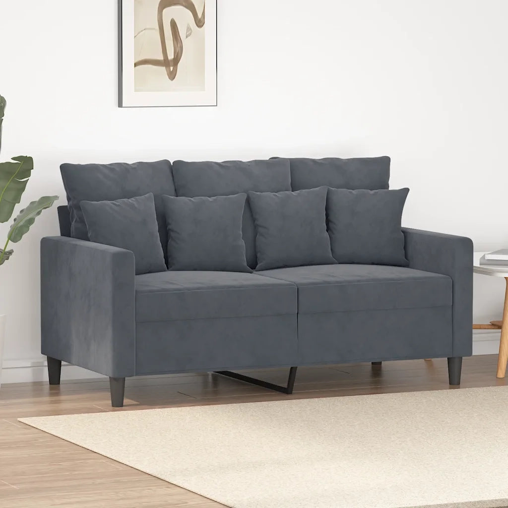 Divano | Divano da soggiorno | Sofa a 2 Posti grigio scuro 120 cm in Velluto