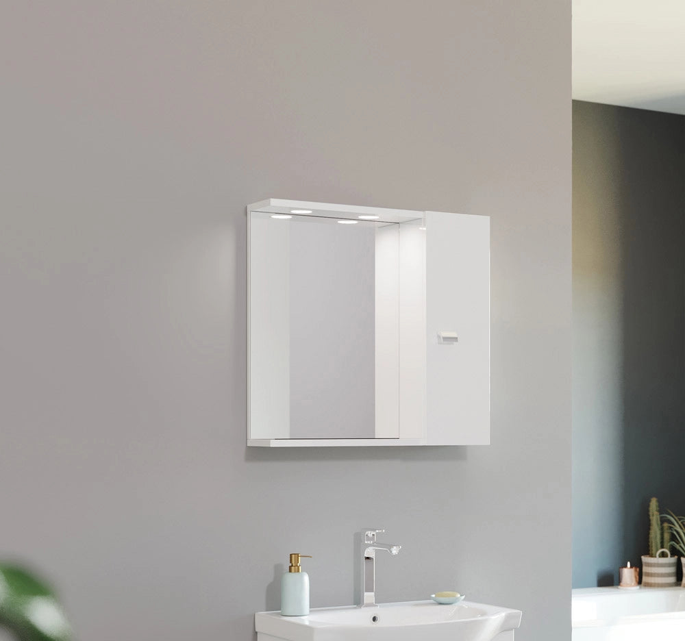 Specchio Bagno con Pensile 1 Anta Contenitore e Illuminazione Led Bianco
