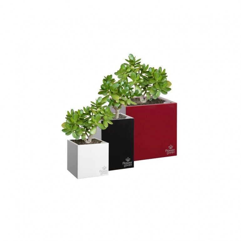 Vaso CUBICO 33x33x33 cm, con sistema di auto-irrigazione