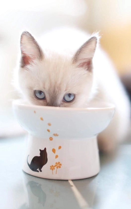 Ciotola per gatto in ceramica - Prevenzione del reflusso - Piccola a media - Senza stress - Scelta di sicurezza per il vostro animale domestico