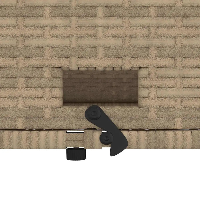 Divano Giardino con Cuscini 2 Posti Beige Polyrattan e Acacia 365143