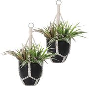 Pendenti di fiori 50 cm corda di cotone per appendere vaso di piante decorazione boho lampada da soffitto beige per interni lampada da giardino per soggiorno